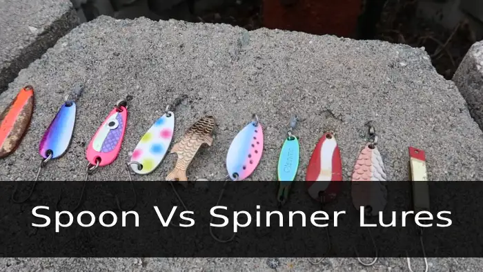 Spoon Vs Spinner Lures for Fly Fishing: 6 Differences - CNY Fishing