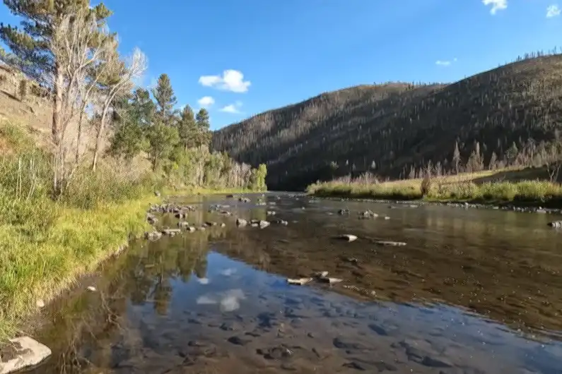Fly Fishing in Wyoming