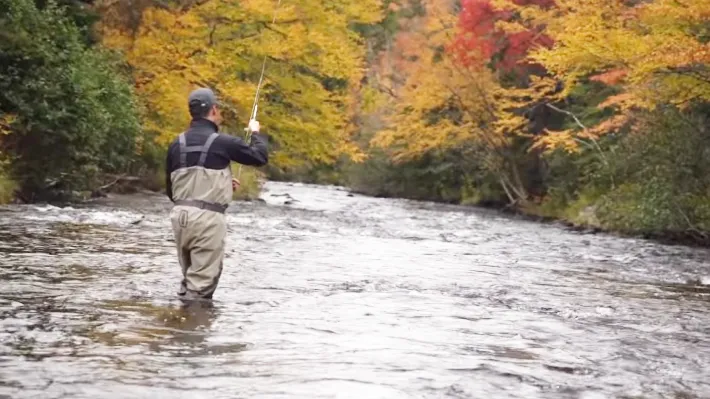 20 Best Places to Fly Fishing in New Hampshire