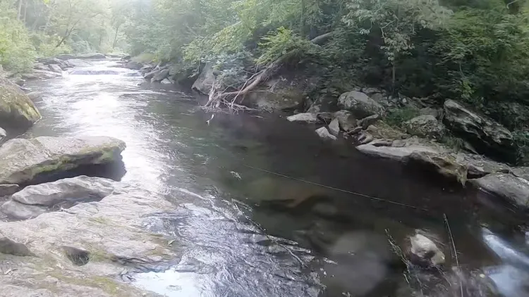 Fly Fishing in Maryland
