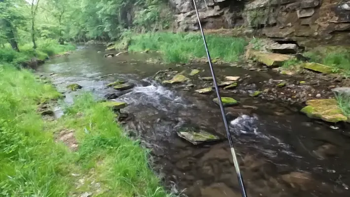 List of the Top 16 Places for Fly Fishing in Wisconsin
