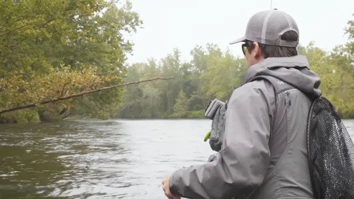 What fish species can you catch in Connecticut through fly fishing