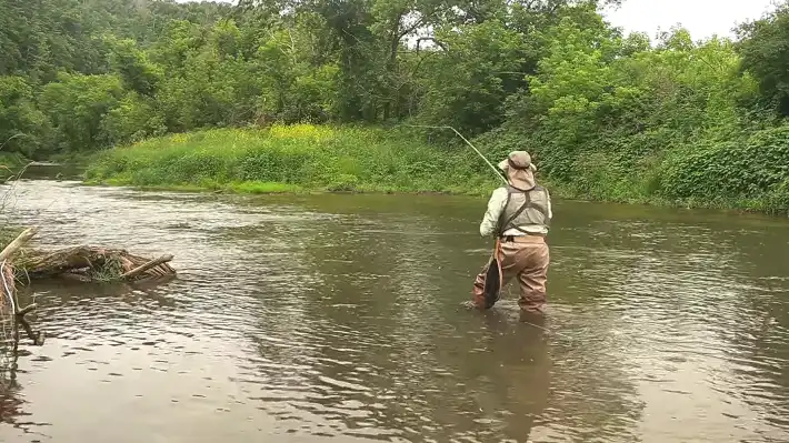 What kind of fish can I catch with fly fishing in Minnesota