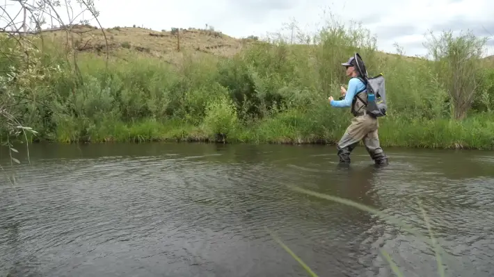 When is the optimal season for fly fishing in Wisconsin